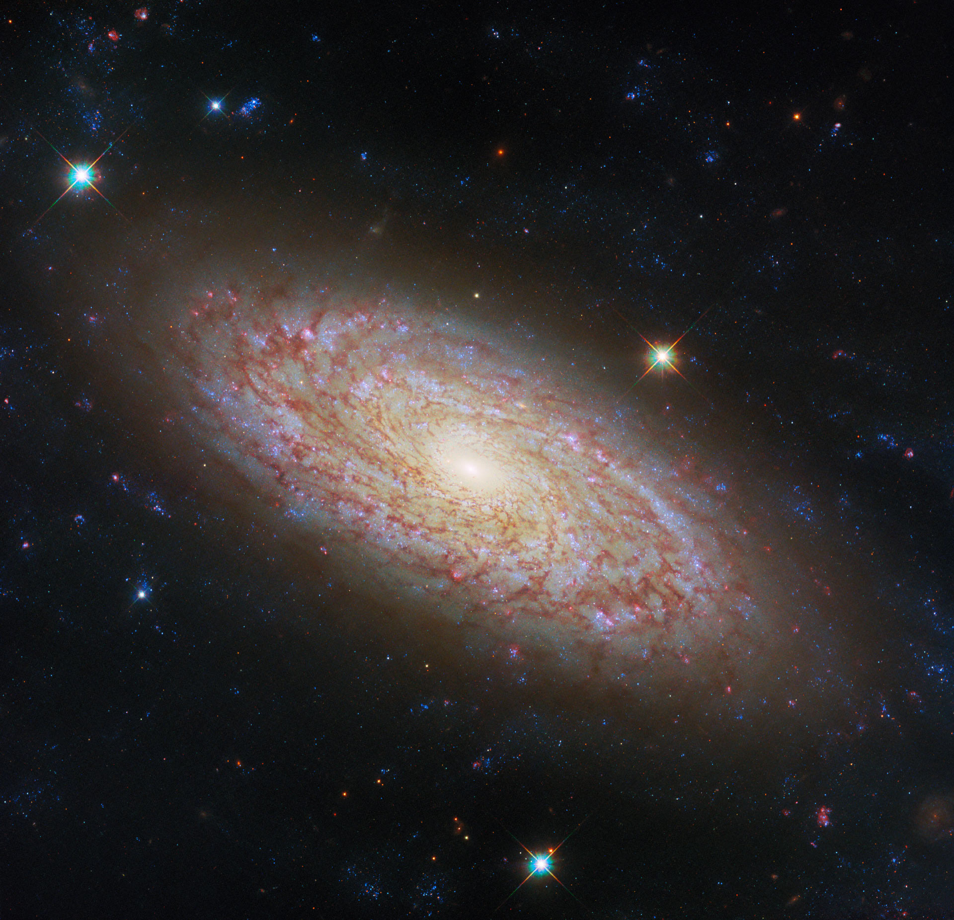 المجرة الحلزونية NGC 2090.. صورة من ناسا