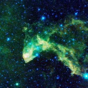 نجوم وليدة في سديم جيكو