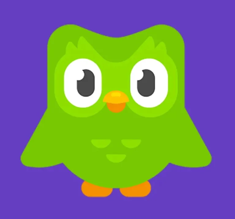 موت البومة اللطيفة في تطبيق تعلم اللغات Duolingo